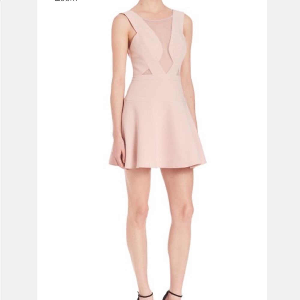 *NWT 🍒 Bcbgmaxazaria Britney dress in tea rose